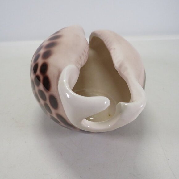 Ceramic Sea Shell Dish - Planter Cowrie Shell Brown Spotted - Picture 4 of 14